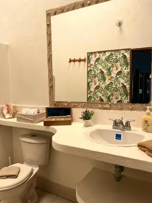 a bathroom with a toilet and a sink and a mirror at Casa Majanicho in Rincón
