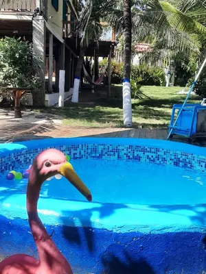 a pink flamingo is in a swimming pool at KAZA Balcones in Santa Veronica