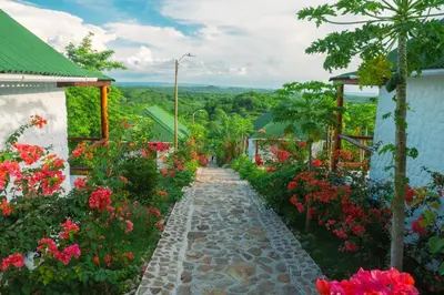 a walkway through a garden with flowers at Ecohotel Summer Usiacuri in Usiacurí