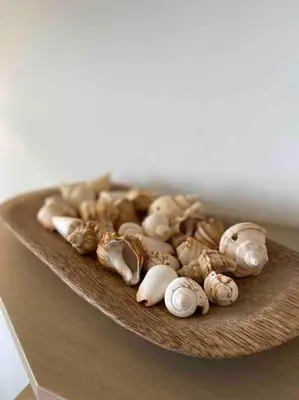 a pile of mushrooms on a wooden plate at Apartamento frente al Mar Cartagena in Cartagena de Indias