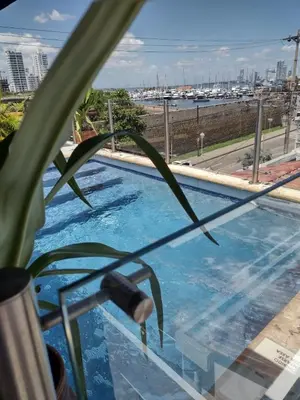 a plant sitting next to a swimming pool at Casa Marqués del Pedregal in Cartagena de Indias
