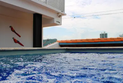 a swimming pool with two birds on the side of a building at Casa Marqués del Pedregal in Cartagena de Indias