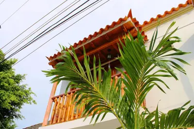 a house with a palm tree in front of it at Casa Marqués del Pedregal in Cartagena de Indias