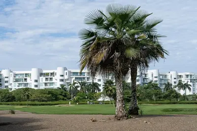 a palm tree in front of a large building at Villa Karibana Paradise in Cartagena de Indias