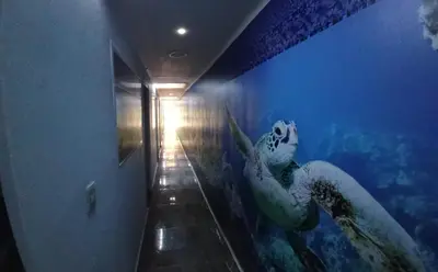 Gallery image of Hotel Dmauro in Cartagena de Indias