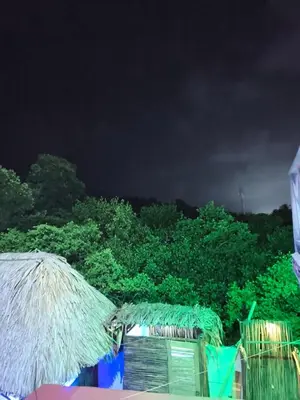 a view of a group of trees at night at Hotel Palmetto Beach Coveñas in Coveñas