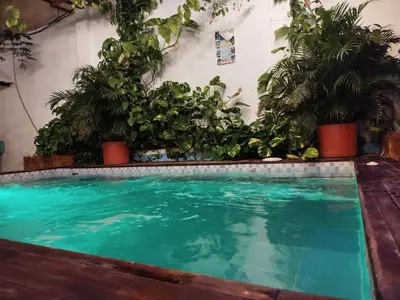a swimming pool with potted plants in a room at Hb5 Family Room with private bathroom facing the sea in Cartagena de Indias
