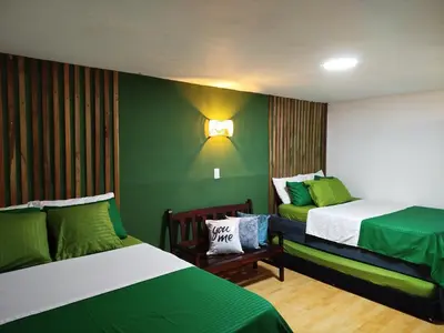 two beds in a room with green walls at Hb5 Family Room with private bathroom facing the sea in Cartagena de Indias