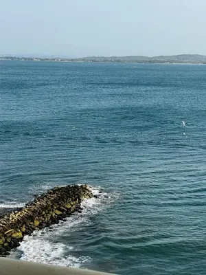 a rock sticking out of the water on the beach at APTO 802 VISTA AL MAR in Cartagena de Indias