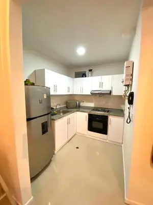 a kitchen with white cabinets and a stainless steel refrigerator at suite incanto con vista al lago in Cartagena de Indias