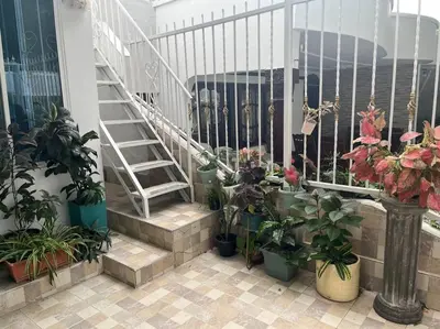 a balcony with potted plants and a stair case at Northwest Hostings 201 in Cartagena de Indias