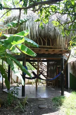 a hut with a thatched roof and a hammock at Hostel Nugeku in Rincón