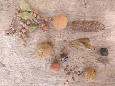 a table with a bunch of nuts andorns on it at Hostel Nugeku in Rincón