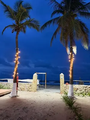 two palm trees on a beach with a soccer goal at Apto PB Palmar de los vientos in San Bernardo del Viento