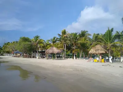 a beach with palm trees and umbrellas on it at Atardeceres Coveñas - Cabañas frente al mar in Puerto Viejo
