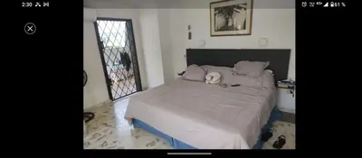 a bedroom with a bed with a white dog laying on it at Hotel Boutique - Casa Completa en Cartagena de Indias, barrio Castillogrande in Cartagena de Indias