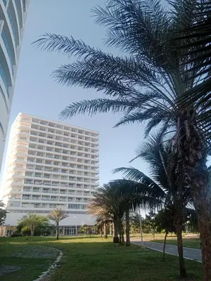 a large building with palm trees in front of it at Cartagena Beach Resort in Cartagena de Indias