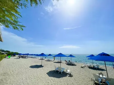 a beach with blue umbrellas and chairs and the ocean at Edificio Playa dormida 2 con Piscina y playa in Santa Marta