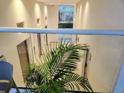a green plant sitting on top of a balcony at Dominique luxury 1410 Jacuzzi Privado in Cartagena de Indias