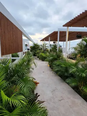 a walkway leading to a building with palm trees at Dominique luxury 1410 Jacuzzi Privado in Cartagena de Indias