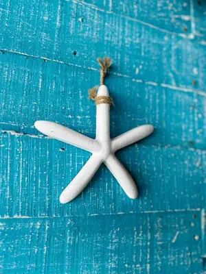 a starfish decoration on top of a blue door at Itaca Eco House in Playa Blanca
