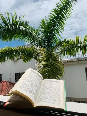 an open book sitting on a table next to a palm tree at Castillo de la Popa in Cartagena de Indias