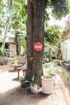 a tree with a sign on the side of it at Nahimara Champeta Hostel in Cartagena de Indias