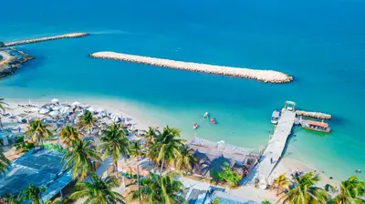 an aerial view of a beach with palm trees at Palmarito Beach Hotel in Tierra Bomba