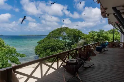 a deck with chairs and the ocean with birds at Pao Pao Cartagena in Isla Grande