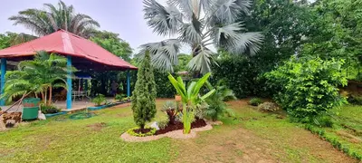 a garden with palm trees and a building at Mediterráneo Relax in San Antero