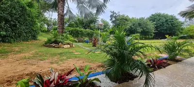 a garden with palm trees and plants in a yard at Mediterráneo Relax in San Antero
