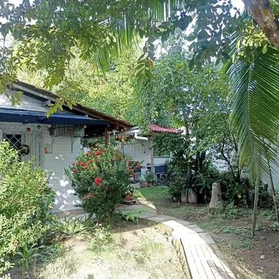 a house with a porch and a bush with flowers at Hostal CORALES in Tolú
