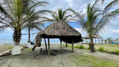 a straw hut on a beach with palm trees at Cabaña Villa Palmaral in Moñitos