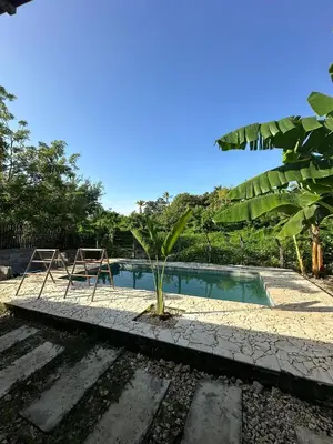 a swimming pool with a palm tree next to it at Cabaña Privada con Piscina y Aire Acondicionado in Isla Fuerte