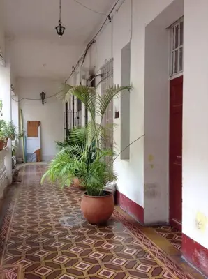 a hallway with a potted plant in a building at Loft en Corazón de Ciudad Antigua in Cartagena de Indias