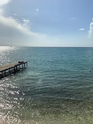 a pier in the water next to the ocean at Palma Plata islas del Rosario in Isla Grande
