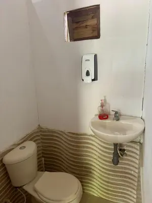 a bathroom with a toilet and a sink at Palma Plata islas del Rosario in Isla Grande