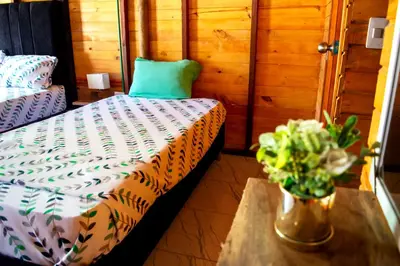 a room with a table with a vase of flowers at Palma Plata islas del Rosario in Isla Grande