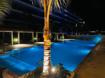 a palm tree in a pool at night at Exclusivo loft - frente al mar in Cartagena de Indias