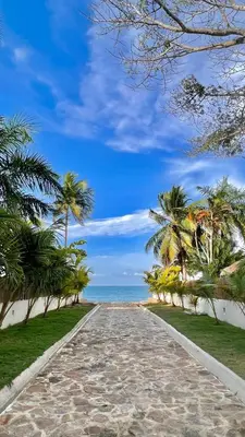 a road leading to the beach with palm trees at Cerca a Coveñas- Cabaña El Paraiso - Mar - Arena in San Antero