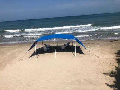 two animals in a tent on the beach at La Felicidá in Cartagena de Indias