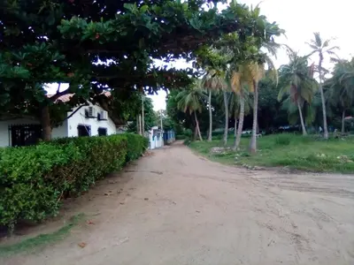 a dirt road with palm trees and a white house at Condominio de Cabañas Cangrejo Azul in El Bobo