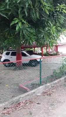 a white car parked in a parking lot next to a tree at Cabaña Villa Gabi in San Antero