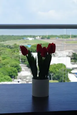 a vase of red tulips sitting on a window sill at Cartagena Aparta Suite Crespo Aeropuerto in Cartagena de Indias