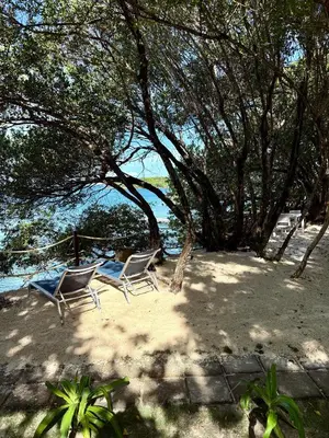 two chairs sitting on the beach under a tree at Casa Rosario in Isla Grande