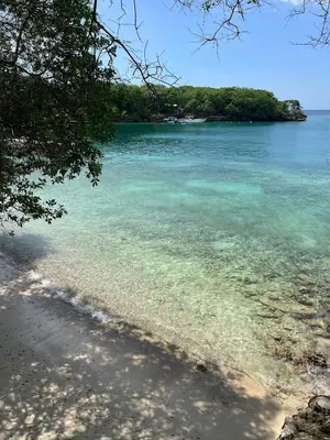 a beach with clear water and trees in the background at Casa Rosario in Isla Grande