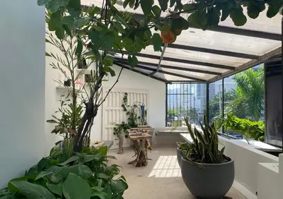 an indoor garden with plants in a room with a ceiling at Apartamento Loft in Cartagena de Indias