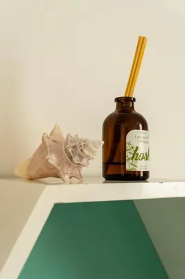 a bottle of oil sitting on a shelf next to a starfish at MANGO BiCHE - HOUSE in Cartagena de Indias