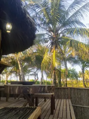 a wooden deck with a bench and palm trees at Eywa Lodge in Pueblo Coco