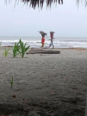 two children walking on a log on the beach at Eywa Lodge in Pueblo Coco